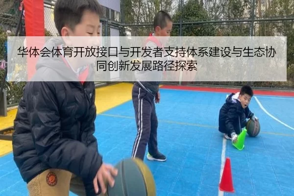 华体会体育开放接口与开发者支持体系建设与生态协同创新发展路径探索